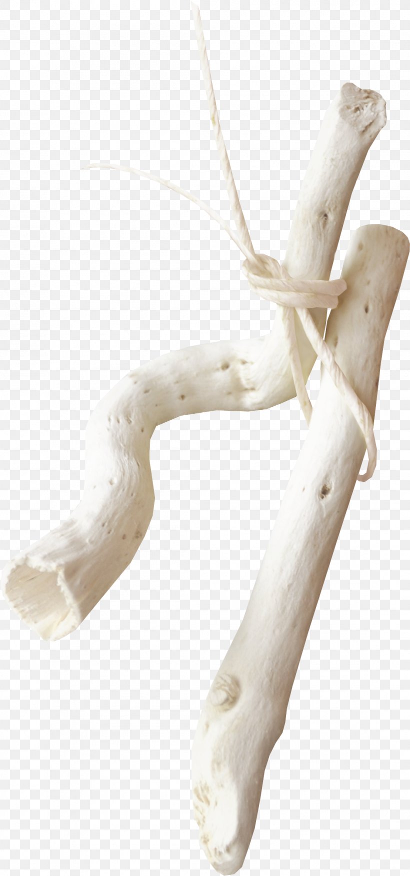 Wood Download Google Images, PNG, 1108x2369px, Wood, Arm, Bone, Branch, Cartoon Download Free