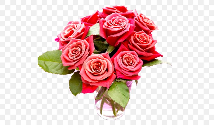 Birthday Tavalodet Mobarak Gfycat, PNG, 529x480px, Birthday, Artificial Flower, Cut Flowers, Daytime, Floral Design Download Free