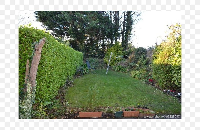Hedge Property Land Lot Grasses Walkway, PNG, 800x533px, Hedge, Backyard, Evergreen, Family, Garden Download Free