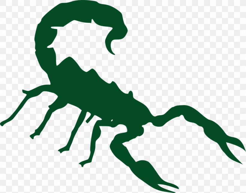 Scorpion Clip Art, PNG, 916x720px, Scorpion, Animal Figure, Arachnid, Arizona Bark Scorpion, Artwork Download Free