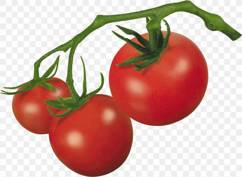 Cherry Tomato Bush Tomato Grape Tomato Plum Tomato Clip Art, PNG, 3841x2819px, Cherry Tomato, Bush Tomato, Diet Food, Food, Fruit Download Free