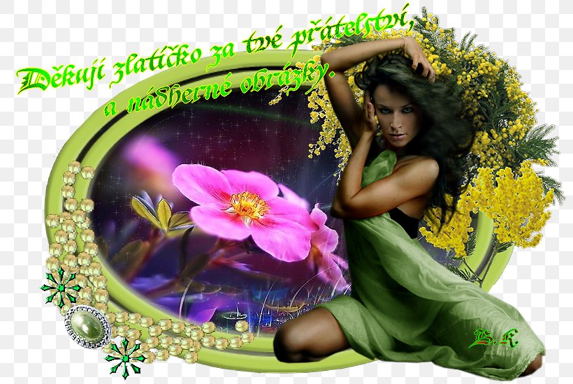 Flower Flora Floristry 8 March Photomontage, PNG, 800x550px, 8 March, Flower, Ansichtkaart, Flora, Floristry Download Free