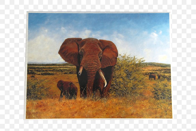 Indian Elephant African Elephant Art Landscape Wildlife, PNG, 800x550px, Indian Elephant, Aesthetics, African Elephant, Animal, Art Download Free