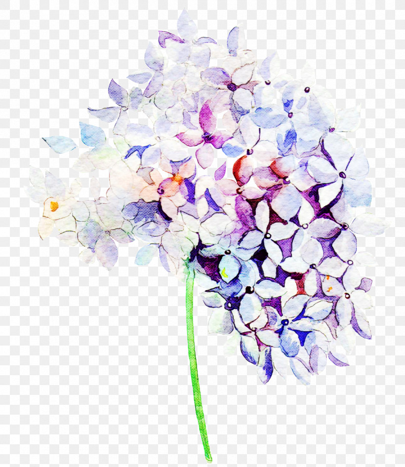 Lavender, PNG, 1260x1455px, Flower, Cut Flowers, Hydrangea, Lavender, Lilac Download Free