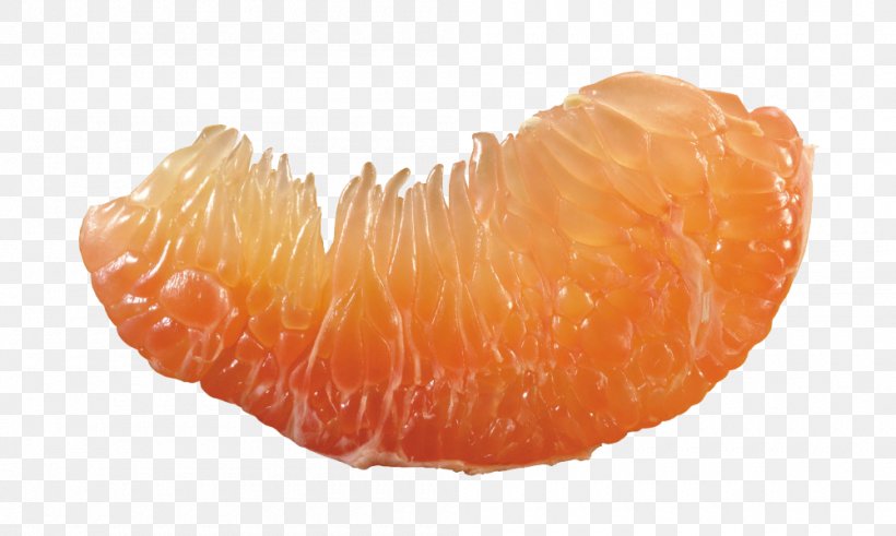 Pomelo Grapefruit Juice Vesicles, PNG, 1000x599px, Pomelo, Auglis, Buddhas Hand, Citrus, Clementine Download Free