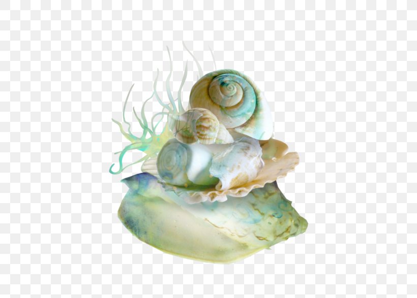 Seashell Mussel Oyster Marine, PNG, 600x587px, 2016, Seashell, Beach, Bivalvia, Marine Download Free