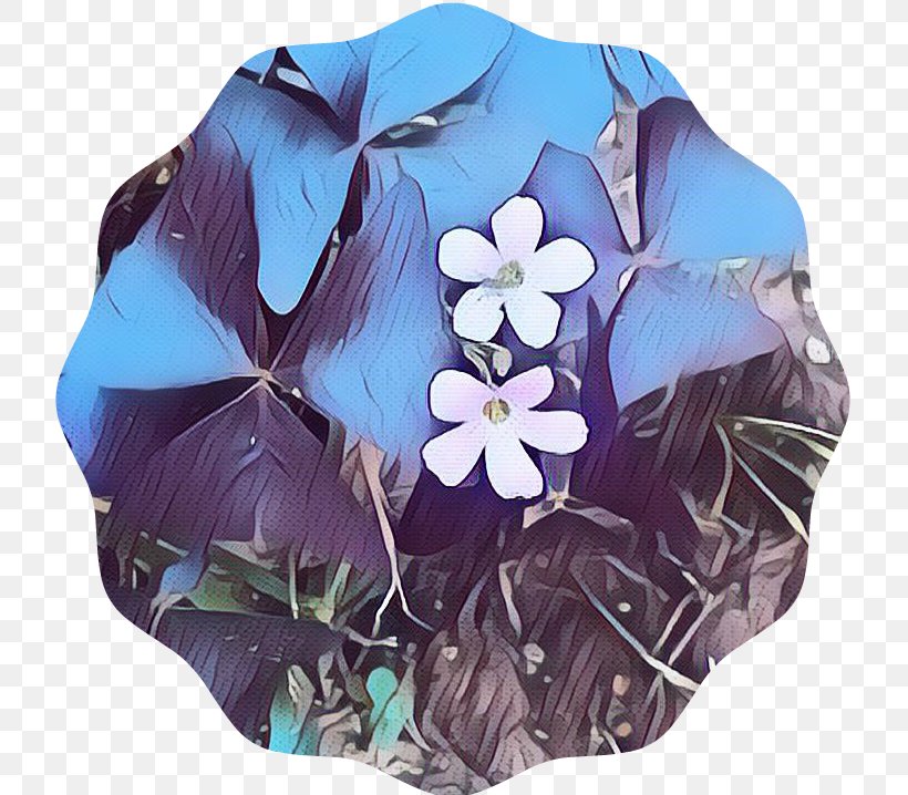 Umbrella, PNG, 721x718px, Umbrella, Flower, Petal, Plant, Purple Download Free