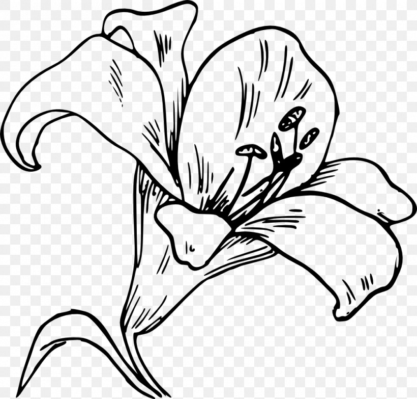 White Line Art Black-and-white Flower Plant, PNG, 1000x955px, White, Blackandwhite, Coloring Book, Daylily, Flower Download Free
