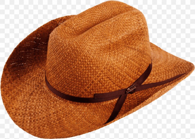 Cowboy Hat, PNG, 1335x951px, Clothing, Beige, Brown, Cowboy Hat, Fashion Accessory Download Free