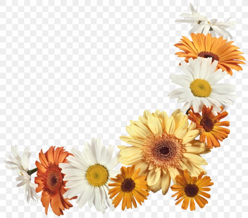 Cut Flowers Floral Design Flower Bouquet Transvaal Daisy, PNG, 1165x1024px, Flower, Calendula, Color, Cut Flowers, Daisy Download Free