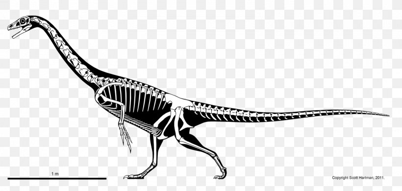 Falcarius Theropods Allosaurus Argentinosaurus Ornitholestes, PNG, 1600x762px, Falcarius, Allosaurus, Argentinosaurus, Beak, Bird Download Free
