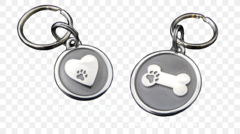 Key Chains Body Jewellery Silver, PNG, 800x460px, Key Chains, Body Jewellery, Body Jewelry, Fashion Accessory, Hardware Download Free