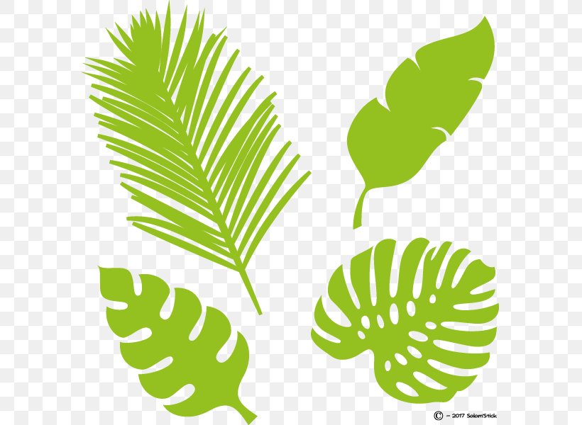 Leaf Tropics Plant Stem Xanarchy Image, PNG, 600x600px, Leaf, Bambou, Bird, Branch, Flora Download Free