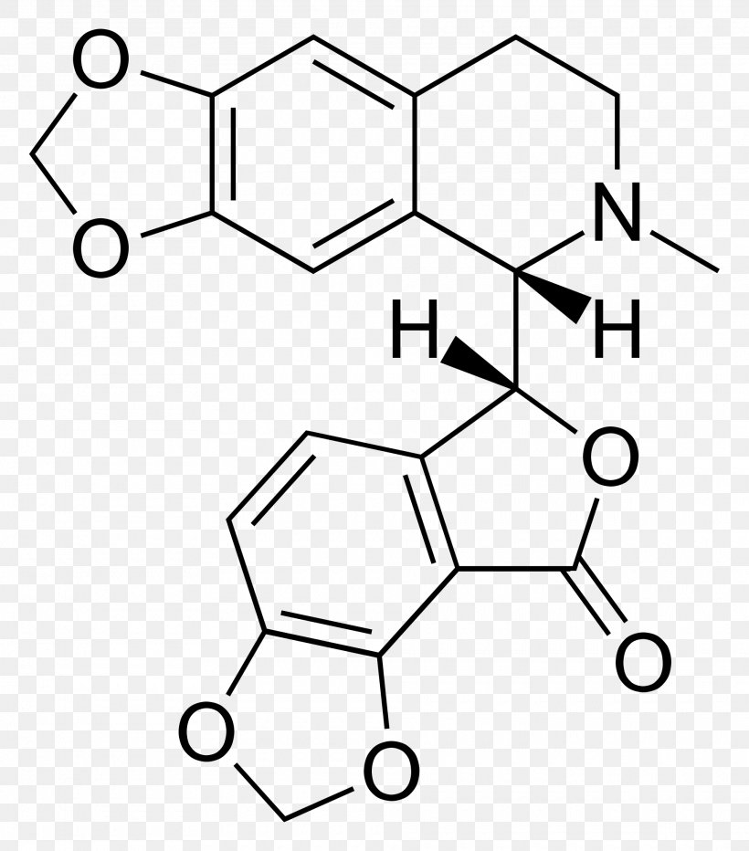 Levodopa Pharmaceutical Drug Bicuculline Chemical Compound Oxamniquine, PNG, 1920x2183px, Levodopa, Area, Black And White, Central Nervous System, Chemical Compound Download Free