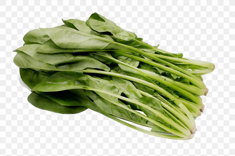 Spinach Vegetarian Cuisine Spring Greens Komatsuna Rapini, PNG, 3639x2420px, Spinach, Celtuce, Chard, Chinese Broccoli, Choy Sum Download Free