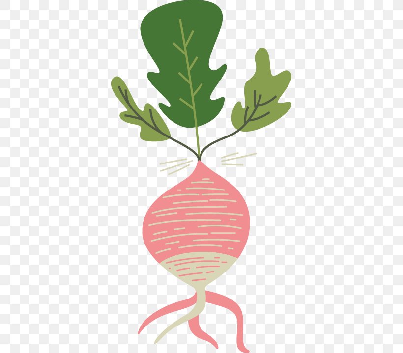 Vegetable Euclidean Vector Clip Art, PNG, 367x719px, Vegetable, Artworks, Branch, Carrot, Element Download Free