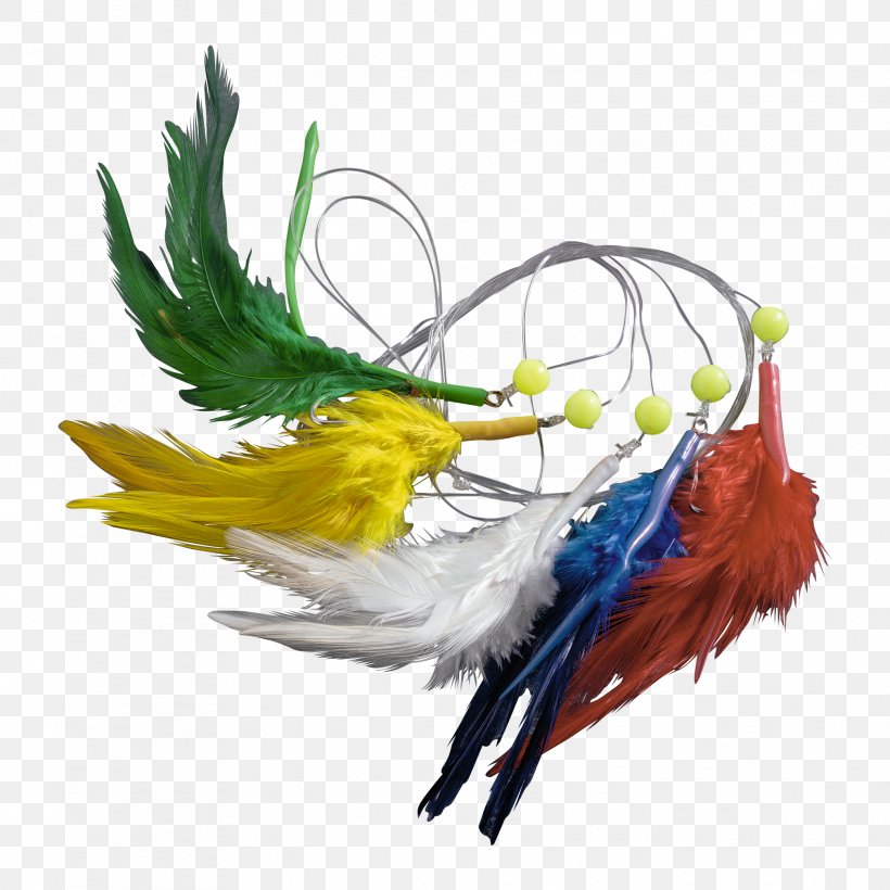 Bird Feather Macaw Beak Wing, PNG, 2016x2016px, Bird, Beak, Feather, Macaw, Wing Download Free