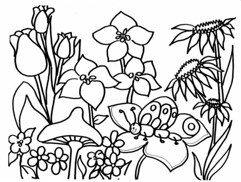 Coloring Book Ruth Heller's Animals Flower Adult Child, PNG, 940x713px, Watercolor, Cartoon, Flower, Frame, Heart Download Free