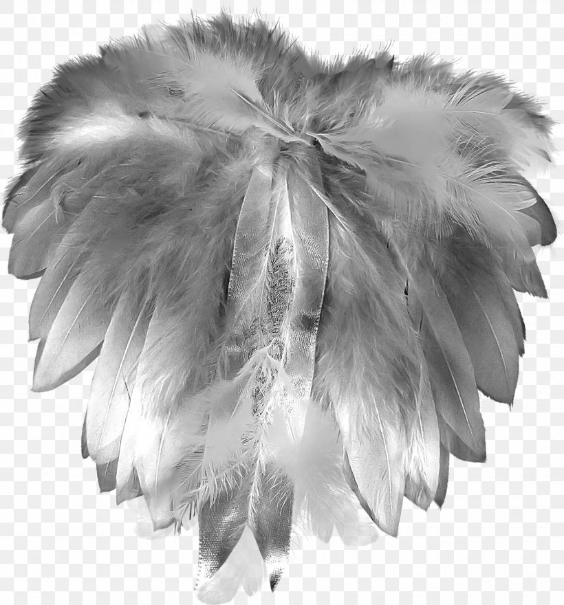 Feather Grey Plumage Gratis, PNG, 1770x1900px, Feather, Black And White, Data Compression, Fur, Gratis Download Free