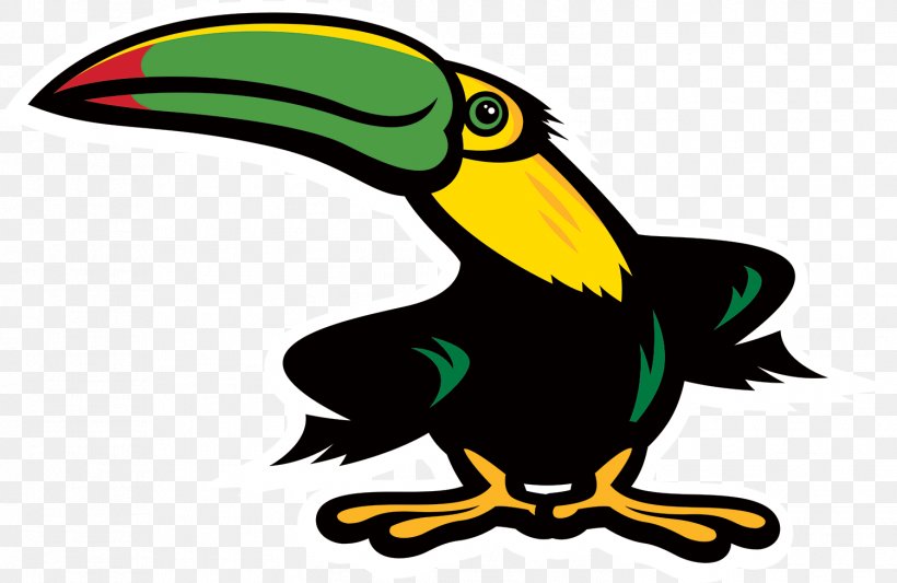 Hornbill Bird, PNG, 1501x977px, Toucan, Academy, Beak, Bird, Hornbill Download Free