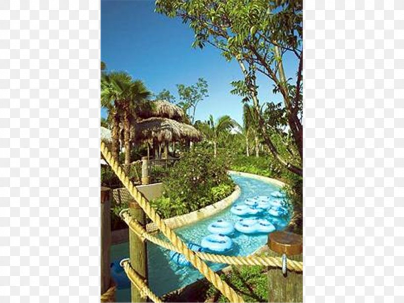 Hyatt Residence Club Bonita Springs, Coconut Plantation Hyatt Residence Club Bonita Springs, Coconut Plantation Swimming Pool Resort, PNG, 1024x768px, Hyatt, Accommodation, Area, Bonita Springs, Hotel Download Free