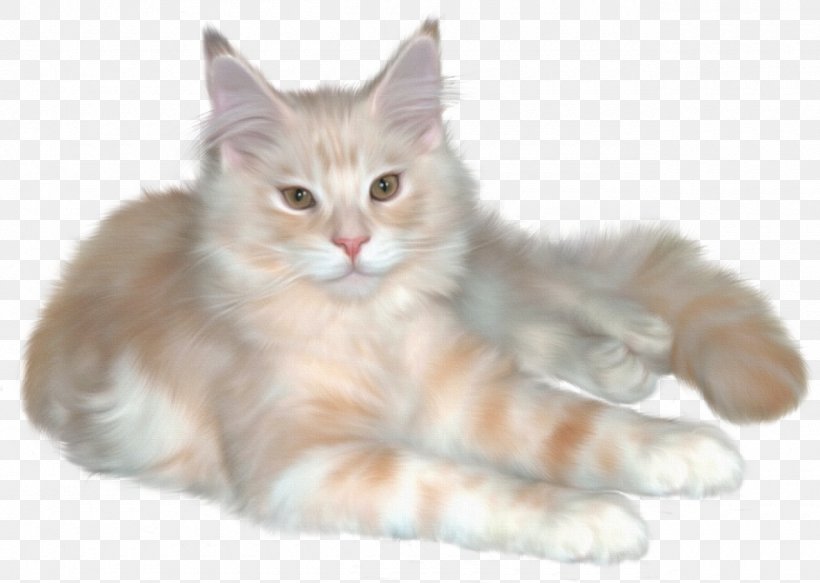 Persian Cat Kitten Pet Sitting Clip Art, PNG, 1280x911px, Persian Cat, Art, Asian Semi Longhair, Black Cat, British Semi Longhair Download Free