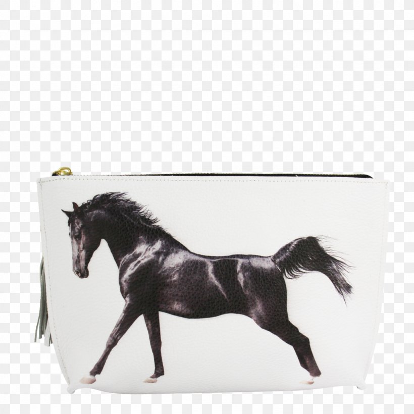 Arabian Horse Akhal-Teke Stallion Gallop Black, PNG, 1024x1024px, Arabian Horse, Akhalteke, Black, Bridle, Equestrian Download Free