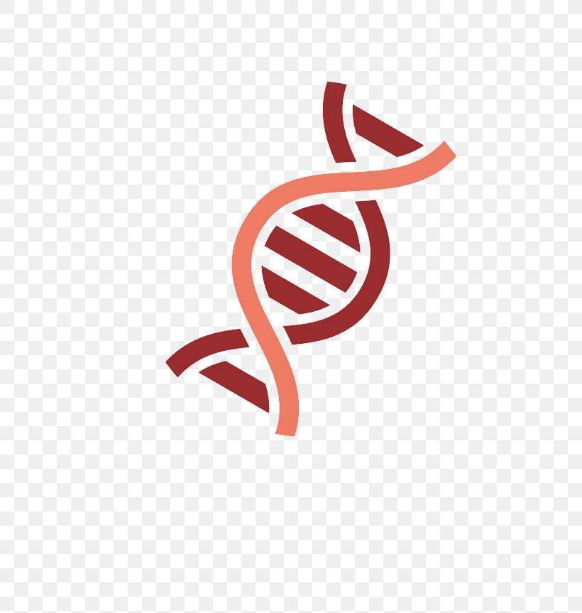 Gene DNA Nucleic Acid Double Helix, PNG, 650x863px, Gene, Artworks, Beaker, Brand, Chemistry Download Free