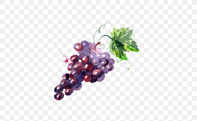 Grape Watercolor Painting Drawing Illustration, PNG, 561x505px, Grape, Drawing, Flowering Plant, Food, Fruit Download Free