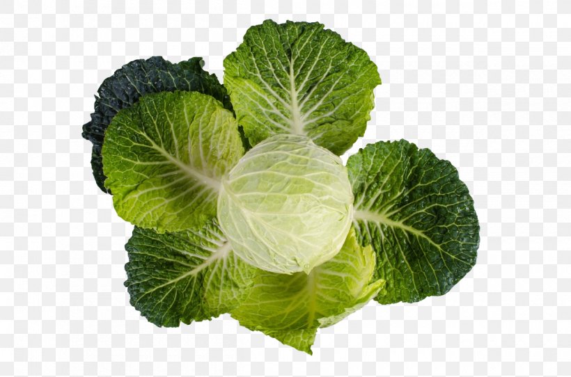 Nutrient Vitamin A Fat Vitamin K, PNG, 1200x794px, Nutrient, Cabbage, Carbohydrate, Collard Greens, Cruciferous Vegetables Download Free