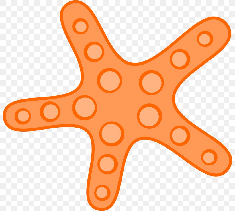 Starfish Ocean Clip Art, PNG, 800x736px, Starfish, Common Starfish, Echinoderm, Invertebrate, Linckia Laevigata Download Free