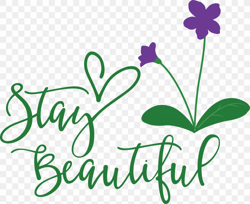 Stay Beautiful Fashion, PNG, 3000x2447px, Stay Beautiful, Cut Flowers, Fashion, Floral Design, Flower Download Free