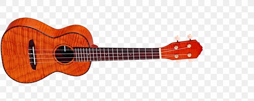 Ukulele Soprano Guitar Concert Musical Instruments, PNG, 2500x1000px, Ukulele, Acoustic Electric Guitar, Acoustic Guitar, Bridge, Cavaquinho Download Free