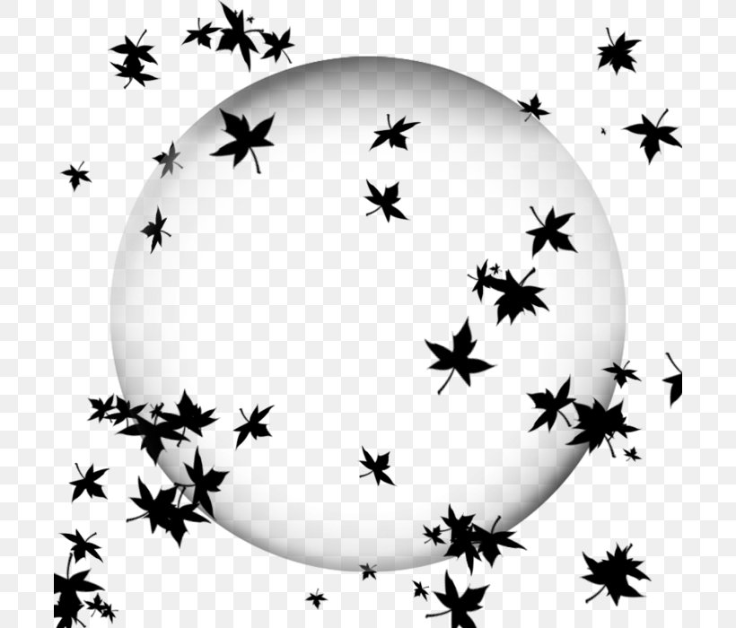 Ball Black And White Pattern, PNG, 700x700px, Ball, Black, Black And White, Branch, Flower Download Free