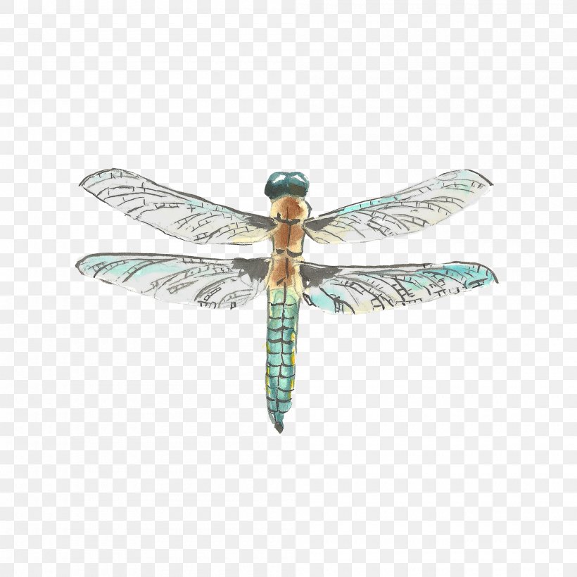 Dragonfly Watercolor Painting Drawing, PNG, 2000x2000px, Dragonfly, Arthropod, Dragonflies And Damseflies, Drawing, Fly Download Free