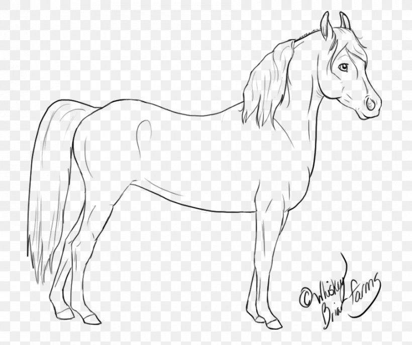 Mane Mustang Stallion Colt Bridle, PNG, 900x755px, Mane, Animal, Animal Figure, Artwork, Black And White Download Free