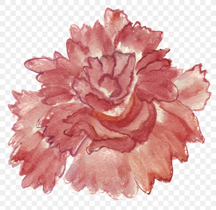Watercolor: Flowers Watercolor Painting Peony Rose, PNG, 1024x994px, Watercolor Flowers, Artist, Carnation, Chinese Painting, Chinese Peony Download Free