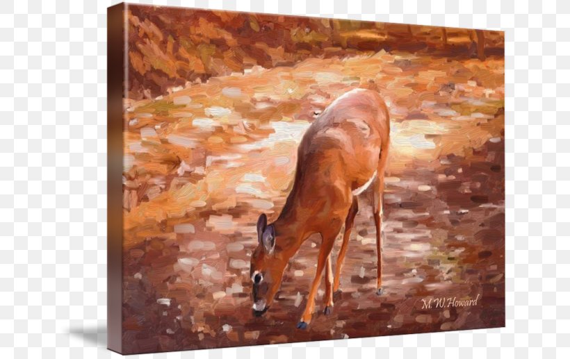 Impala Deer Gazelle Antler Painting, PNG, 650x517px, Impala, Antelope, Antler, Chevrolet Impala, Deer Download Free