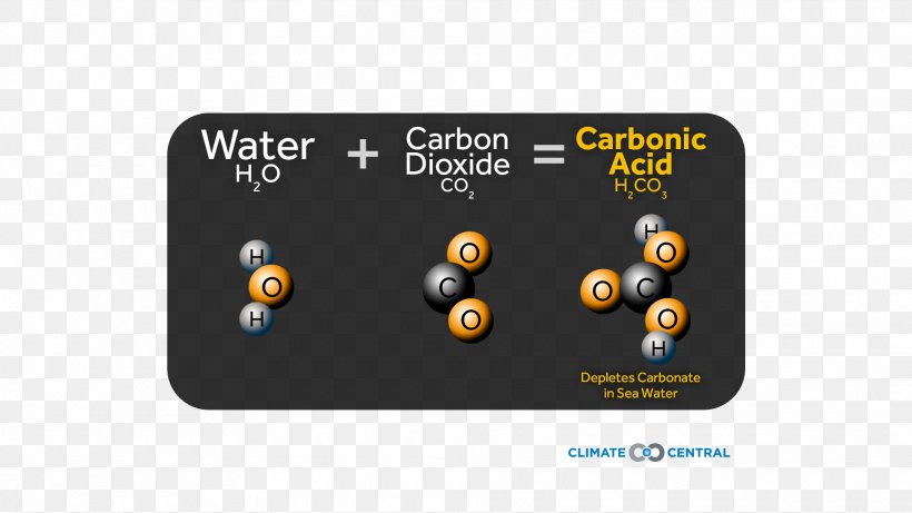 Ocean Acidification Seawater Pacific Marine Environmental Laboratory Shore, PNG, 1920x1080px, Ocean Acidification, Absorption, Brand, Calcification, Carbonate Download Free