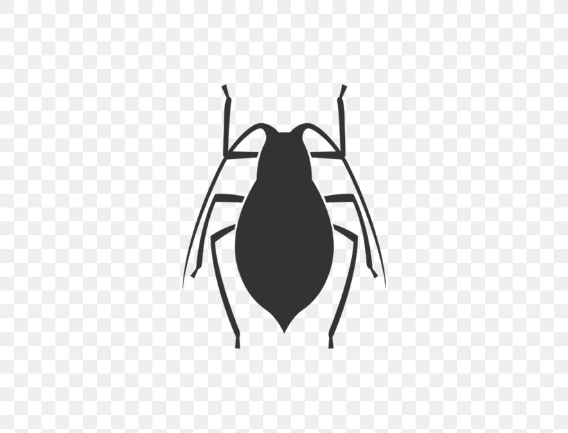 Apache Cassandra Computer Software Pest Software Bug Malware, PNG, 626x626px, Apache Cassandra, Arthropod, Artwork, Beetle, Black Download Free