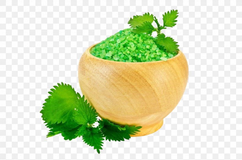 Common Nettle Kosher Salt Bath Salts Leaf Vegetable, PNG, 1027x680px, Common Nettle, Alternative Medicine, Bath Salts, Food, Green Download Free