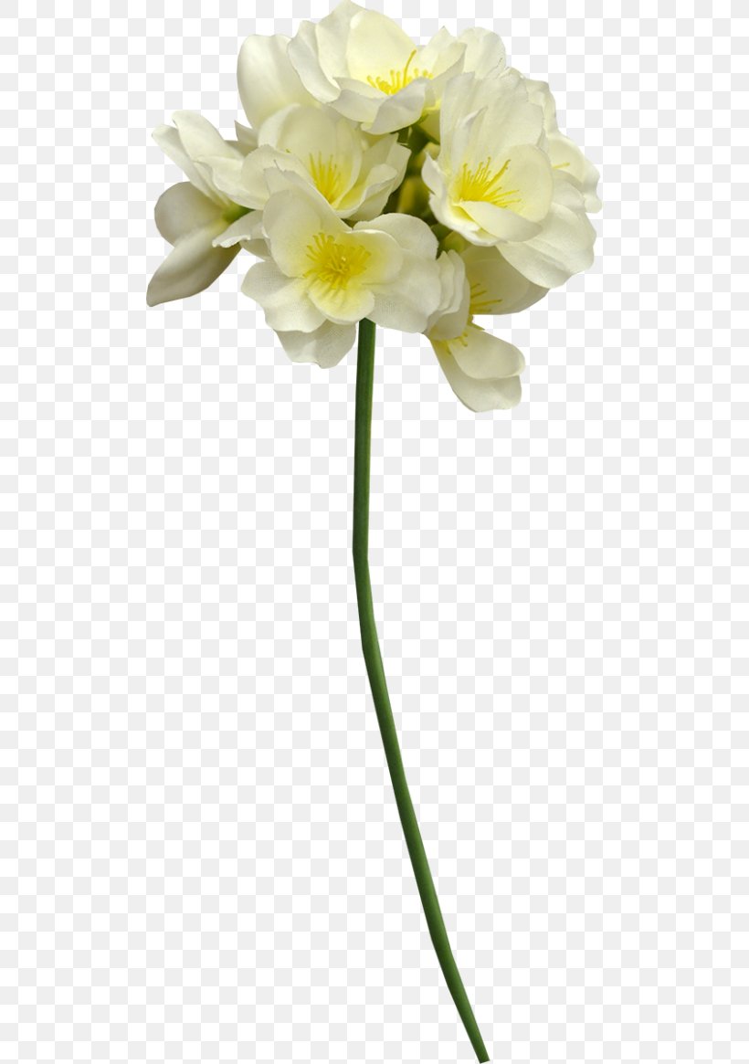Cut Flowers Cape Jasmine Plant Stem White, PNG, 500x1165px, Cut Flowers, Amaryllis Family, Artificial Flower, Cape Jasmine, Flower Download Free