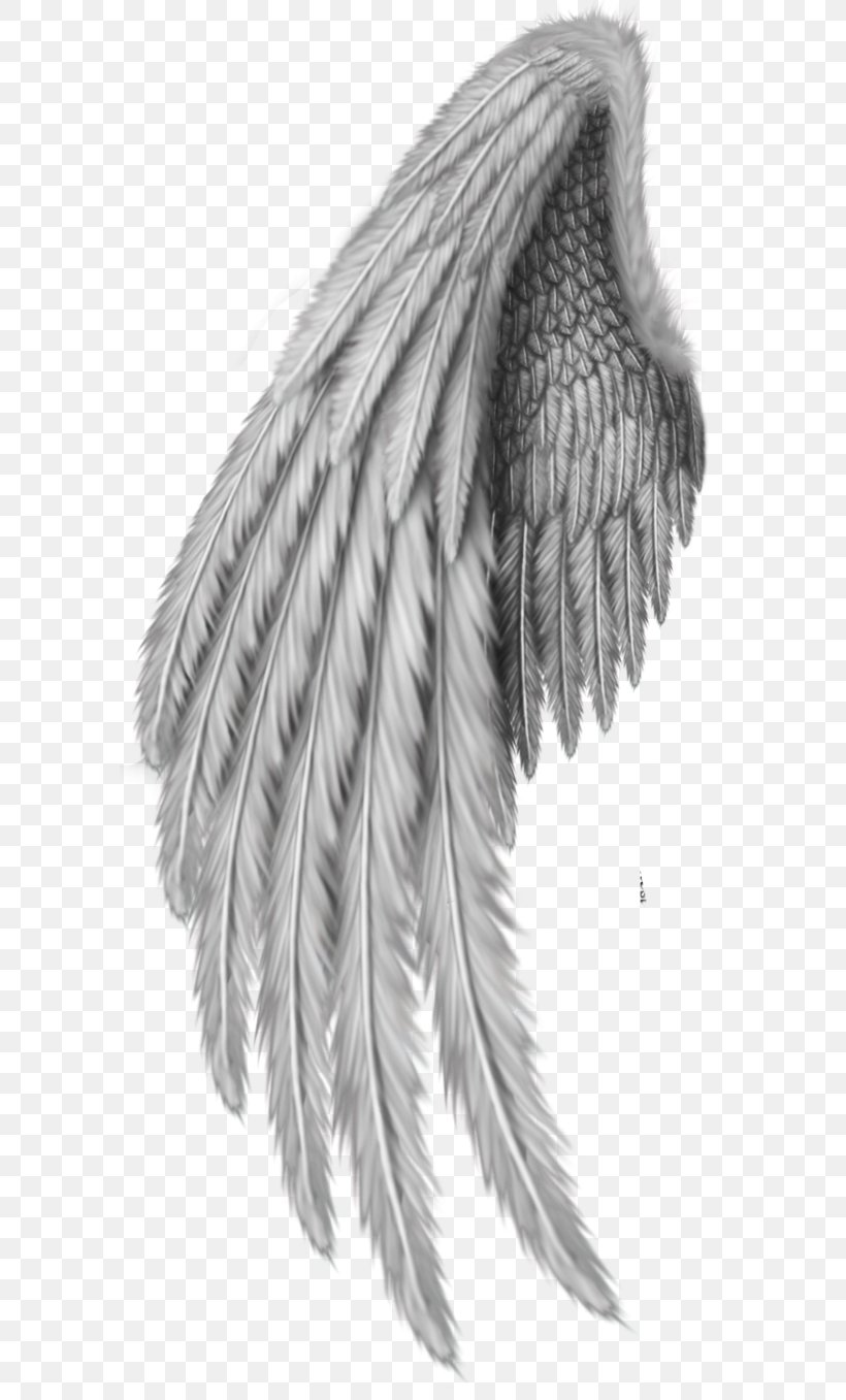 Drawing Clip Art, PNG, 588x1357px, Wing, Angel Wing, Beak, Black And ...