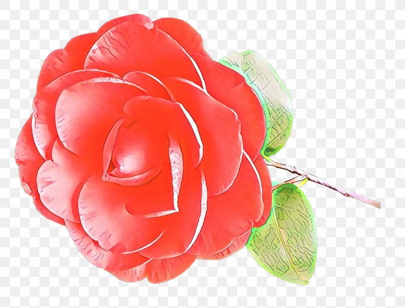 Pink Flower Cartoon, PNG, 1280x973px, Cartoon, Artificial Flower, Camellia, Closeup, Cut Flowers Download Free