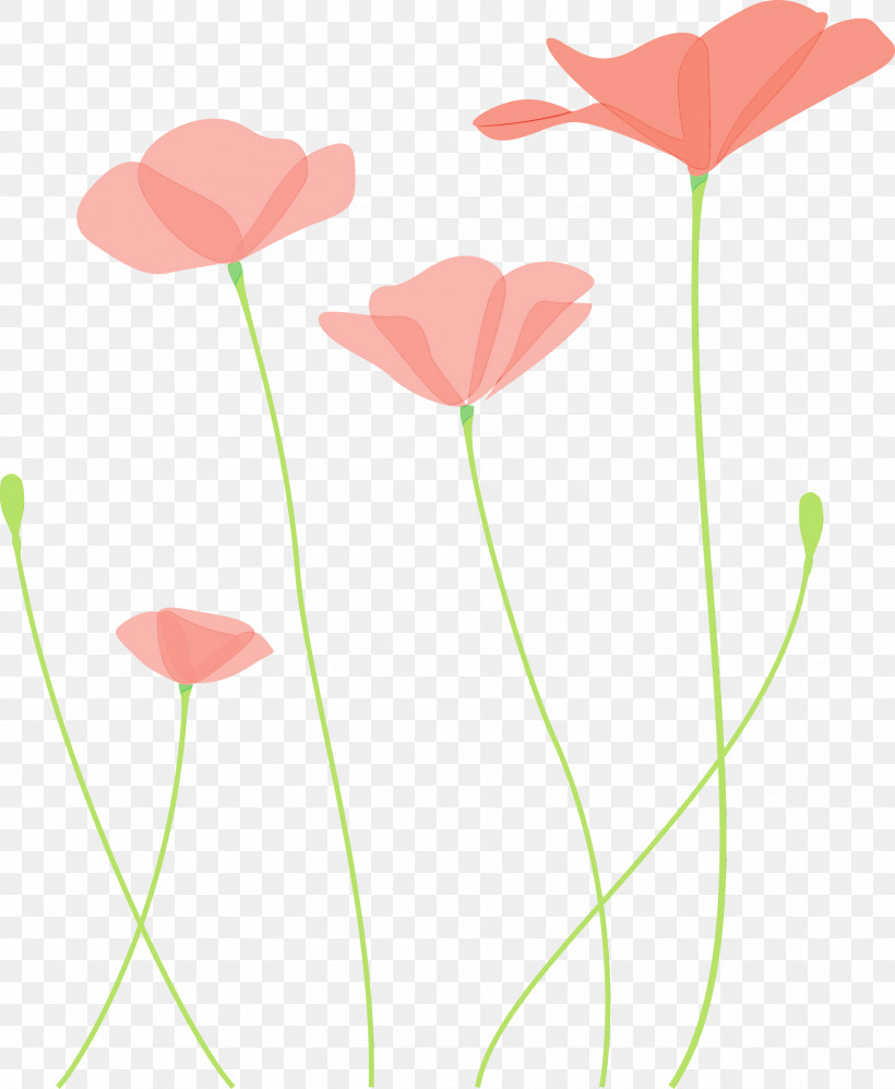 Plant Stem Flower Plant Pedicel Coquelicot, PNG, 2463x3000px, Poppy Flower, Coquelicot, Corn Poppy, Flower, Paint Download Free