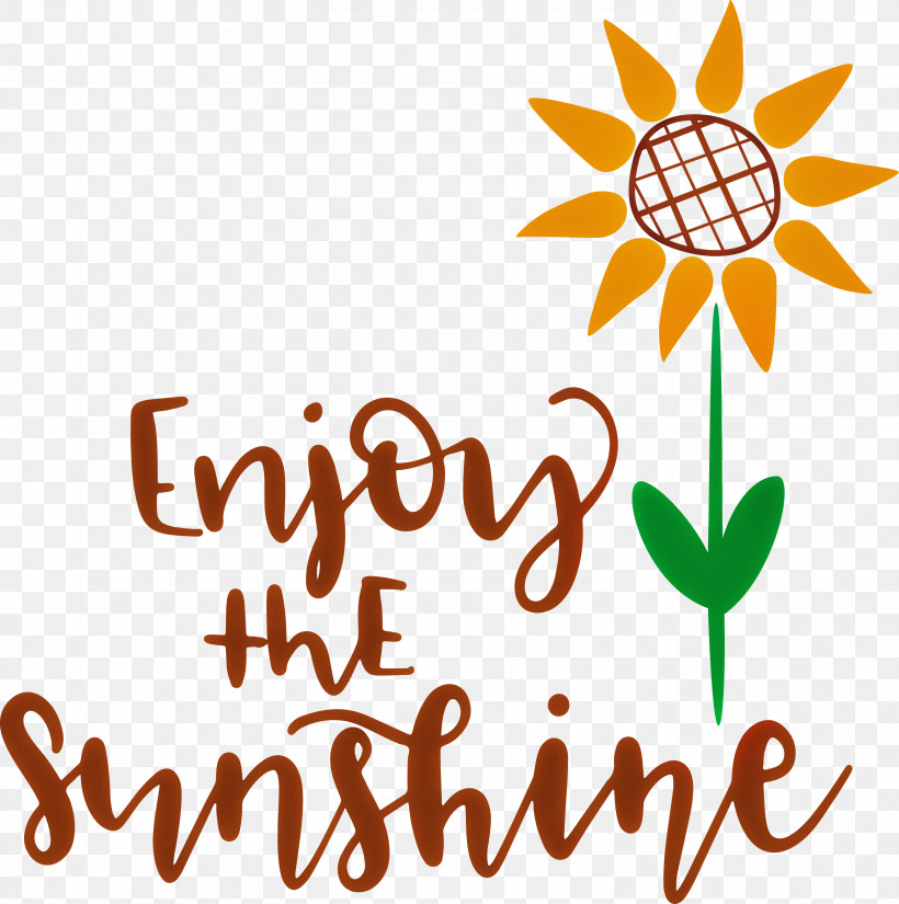Sunshine Enjoy The Sunshine, PNG, 2981x3000px, Sunshine, Cut Flowers, Floral Design, Flower, Happiness Download Free