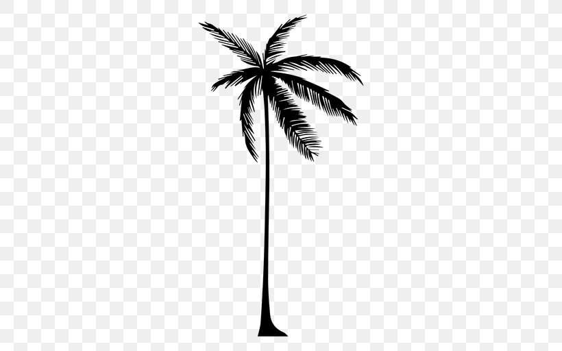 Arecaceae Tree Drawing Silhouette, PNG, 512x512px, Arecaceae, Arecales, Black And White, Borassus Flabellifer, Branch Download Free