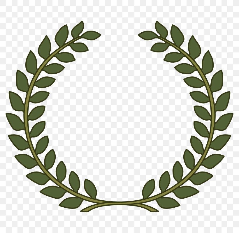 Bay Laurel Laurel Wreath Leaf Mountain-laurel Clip Art, PNG, 800x800px, Bay Laurel, Area, Color, Gold, Grass Download Free