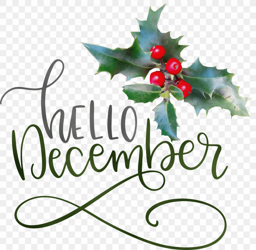 Christmas Day, PNG, 2999x2923px, Hello December, Aquifoliaceae, Aquifoliales, Christmas Day, Christmas Ornament Download Free