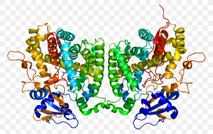 CYP2R1 Calcitriol Cytochrome P450 Vitamin D Calcifediol, PNG, 800x517px, Calcitriol, Art, Calcifediol, Calcitriol Receptor, Cytochrome Download Free